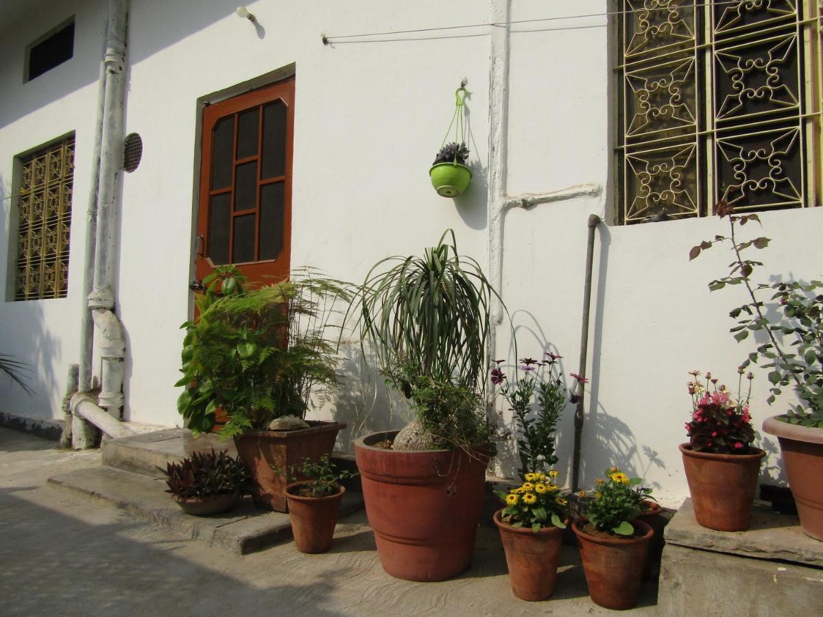 Nadya Homestay For Female & Family Τζαϊπούρ Εξωτερικό φωτογραφία